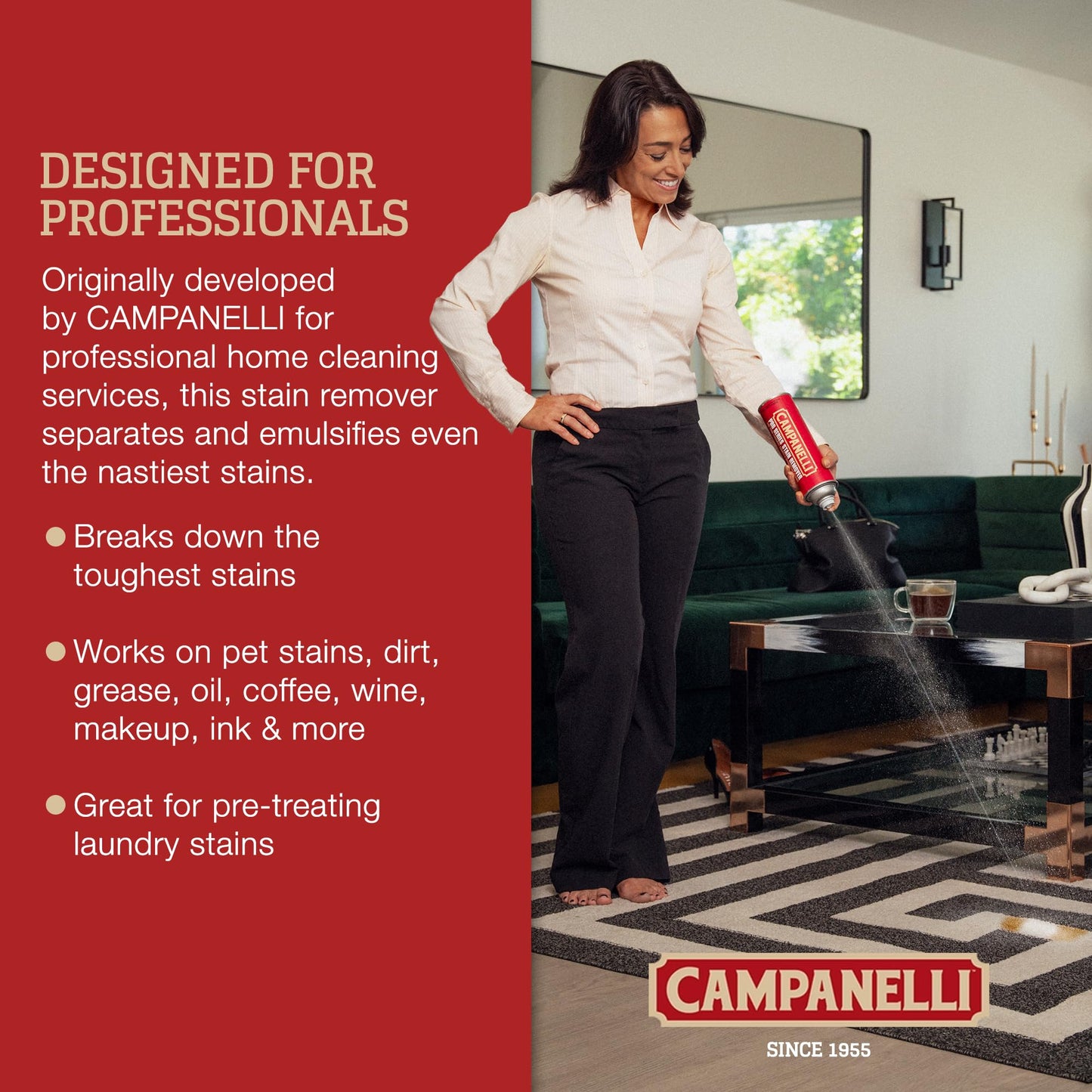 CAMPANELLI Pro Series Stain Remover Spray | Precision Point & Spray Carpet Cleaner for Pet Stains and Odors - Spot Remover for Carpets, Fabrics, Upholstery & Household Spills | 18oz Aerosol
