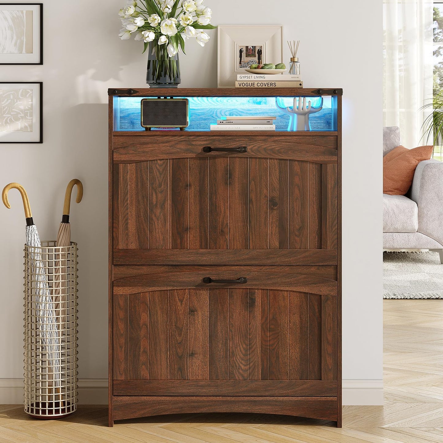 Maupvit Shoe Storage Cabinet with 2 Flip Drawers & Open Storage & RGB Lights, Narrow Shoe Rack Organizer Cabinets, Slim Shoe Cabinet for Entryway, Entrance, Hallway, Foyer, Walnut Brown