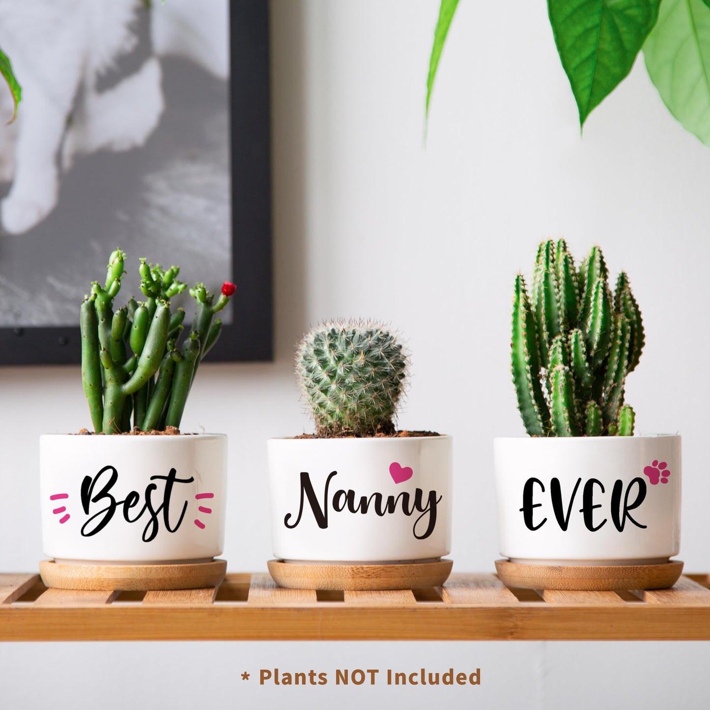 AceThrills Nanny Gifts for Birthday, for Nanny from Grandkids, Unique Present on Thanksgiving Christmas - 3 Pcs 3.15" Succulent Pots with Bamboo Tray