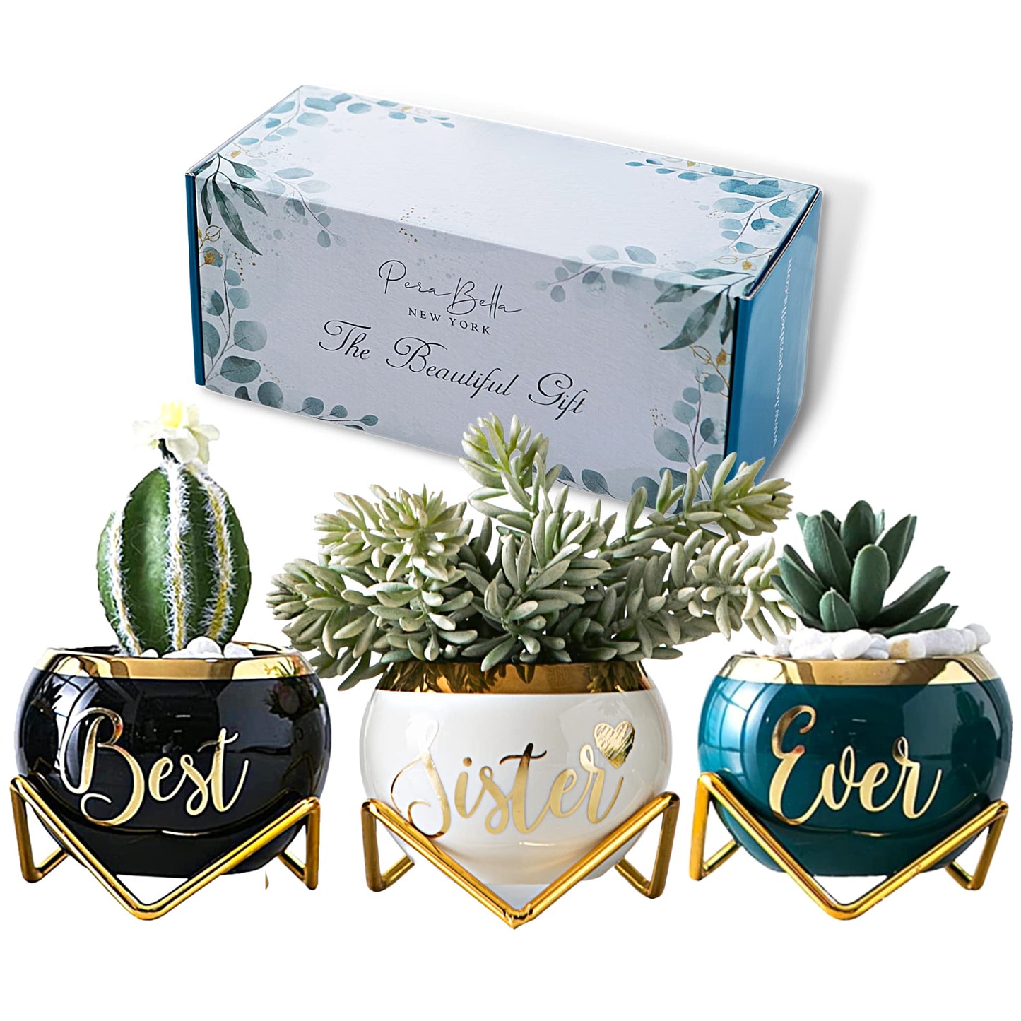 Sister Birthday Gifts for Women from Sisters, Mothers Day Gifts for Sisters from Sisters Adult, Cool Gifts for Adult Sister, Gift for Women Friend, Little Sister Gifts, Succulent Pot Gifts for Ladies