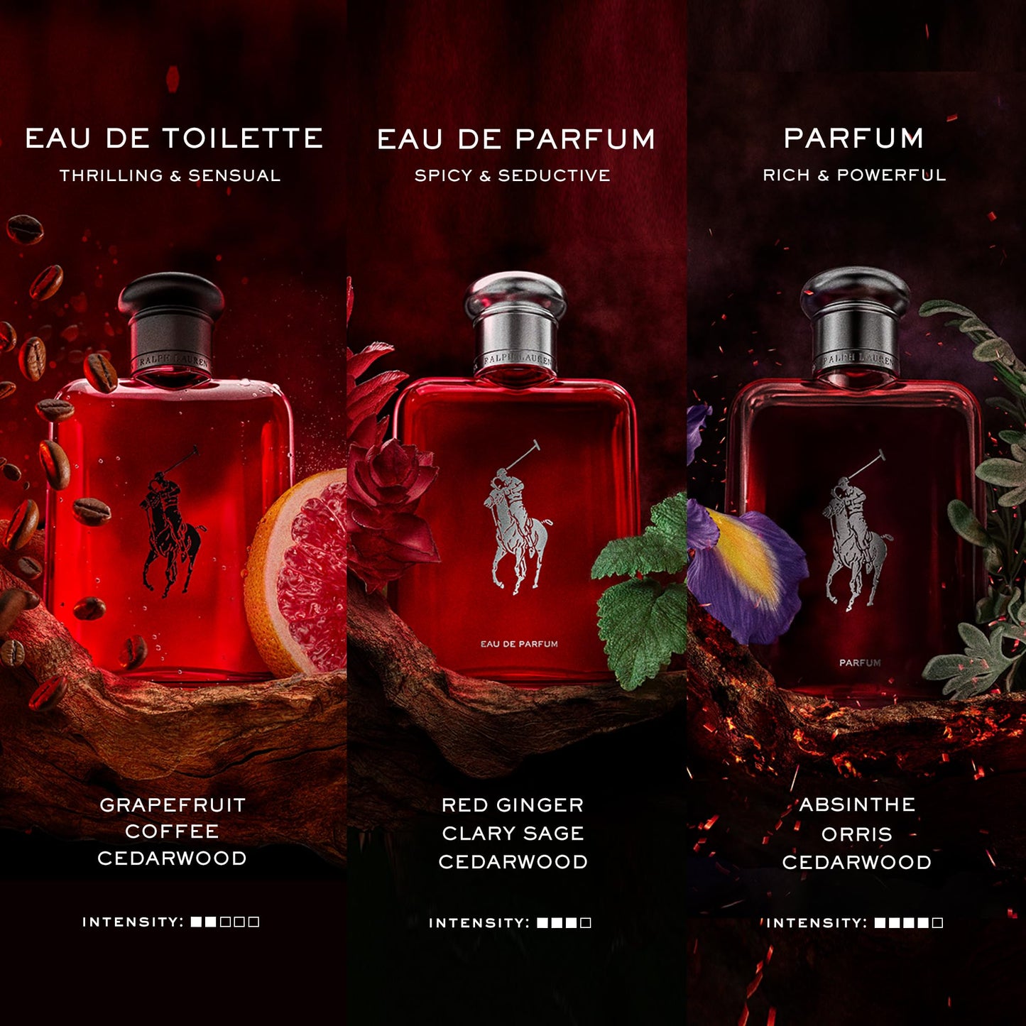 RALPH LAUREN FRAGRANCES Polo Red - Eau de Toilette - Men's Cologne - Woody & Spicy - With Grapefruit, Saffron, and Redwood - Medium Intensity - 2.5 Fl Oz