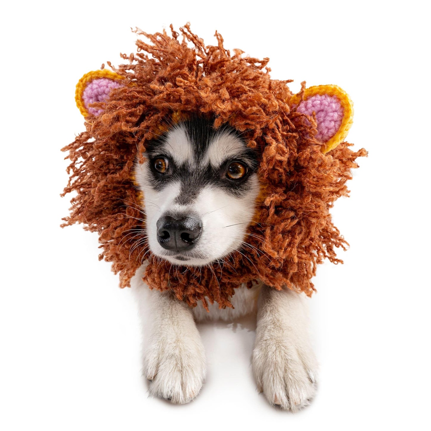 Zoo Snoods Lion Costume - Knit Mane Dog Snood Ear Wrap for Pets, Warm Neck Cover for Halloween and Winter (Medium)