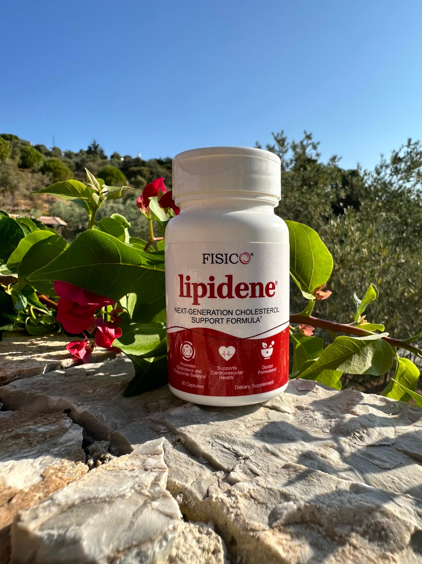 LIPIDENE Cholesterol Support & Heart Health Supplement – Lipid Balance, Cardiovascular Function, Heart Health, Circulation and Arterial Wellness. Contains Bergamot & Olive Fruit Extract – 30 Capsules