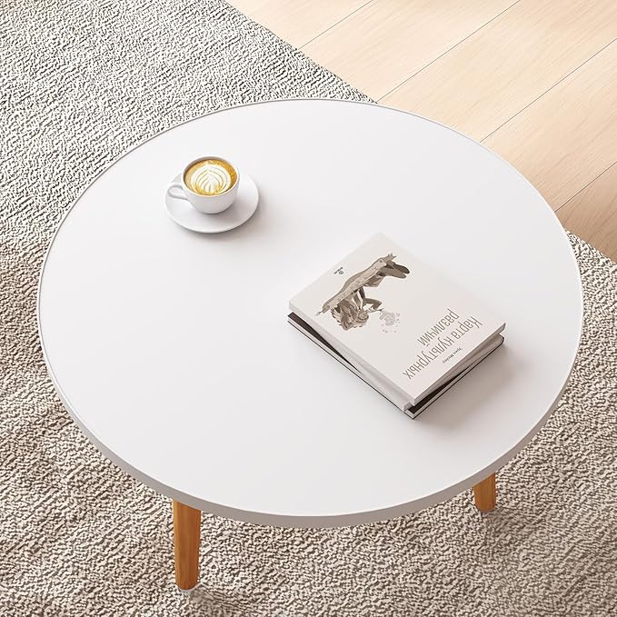 Funecy Round Coffee Table Low Table with 3 Solid Wood Sturdy Legs, Floor Table Desk for Sitting on The Floor, Storage and Living Room Furniture (White)