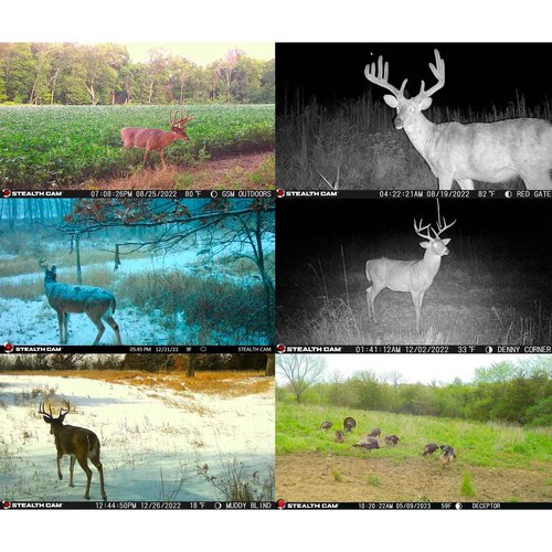 Stealth Cam Deceptor IR 80ft Detection & IR Range 40MP Photo 1440P at 30FPS HD Video Capture Remote App Contol Wireless Hunting Cellular Trail Camera - Available on AT&T & Verizon