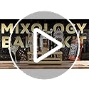 BARE BARREL® Mixology Bartender Kit Bar Set | 16-Piece Cocktail Shaker Set | Martini Barware Mixing Tools for Home Bartend...