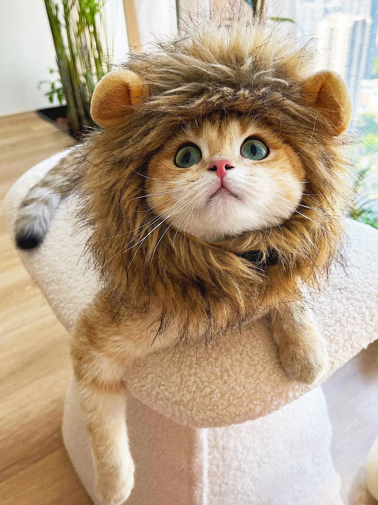 PenVinoo Lion Mane Wig for Cat,Dog and Cat Costume,Funny Pet Cat Costumes for Halloween Christmas, Parties, Photo Shoots (Size M, Melange Brown)