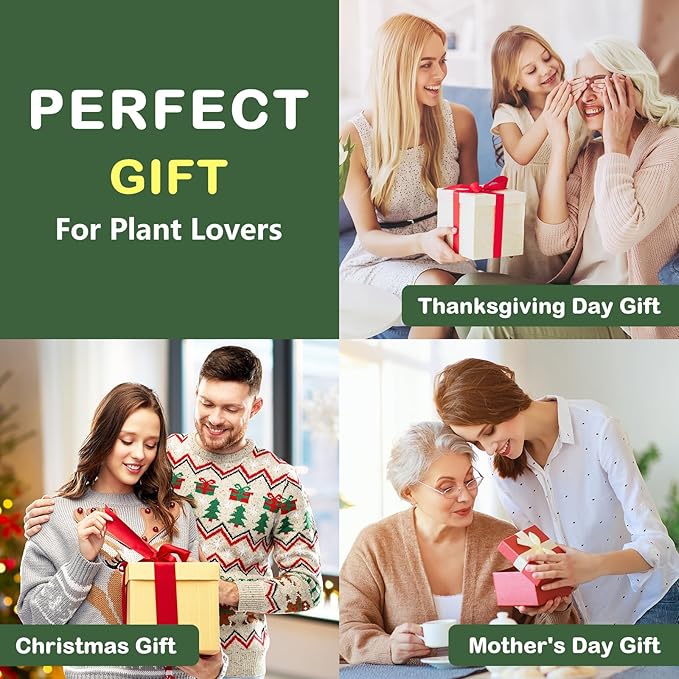 Bonsai Tree Kit, Complete Bonzai Tree Starter Kits with Tools, Valentines Day Gifts for Her Him, Unique Christmas Birthday Gardening Gifts for Women Mom Men Grandkids, Crafts Hobby Kits