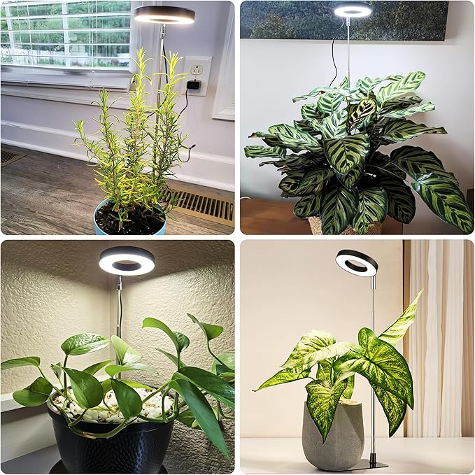 Black 3.54" LED Grow Light, Full Spectrum Plant Lights for Indoor Growing with 3/9/12H Timer, 3 Color Modes, 10 Brightness, Height Adjustable，Small Halo Grow Light with Base, 3 Pack