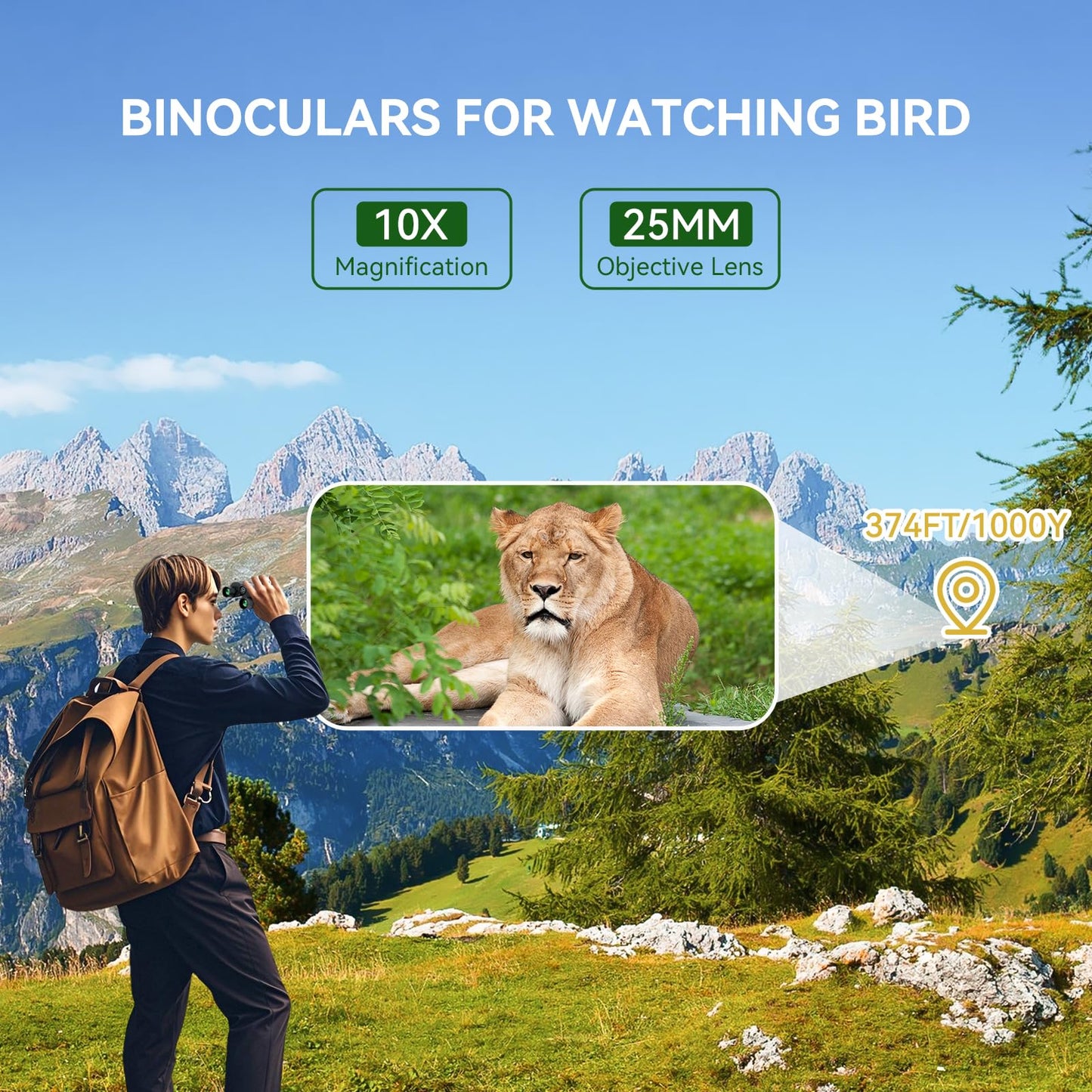 Binoculars For Adults And Kids, 10X25 Small Compact Binoculars With Low Light Vision, Easy Focus Hunting For Bird Watching, Wate