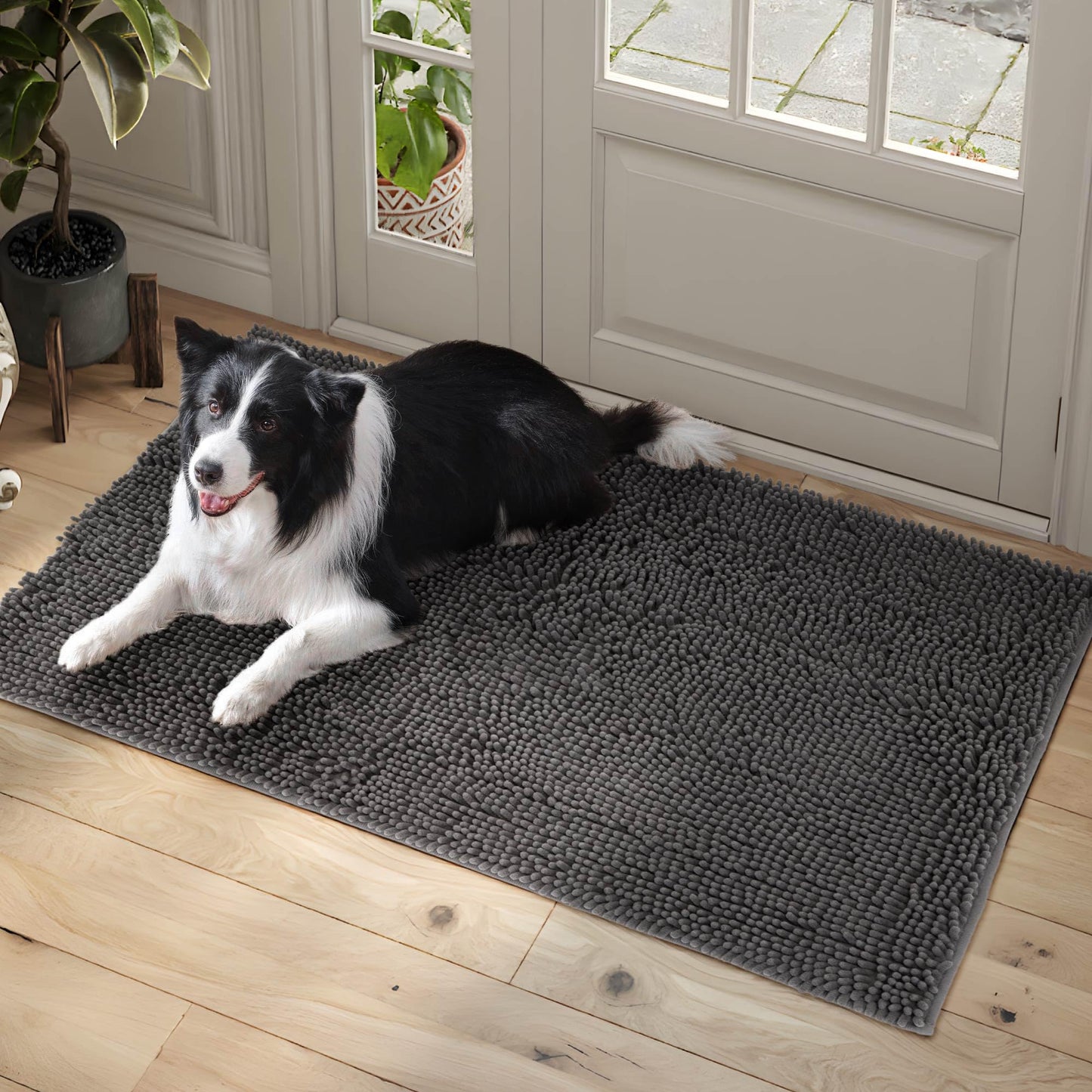 100pointONE Dog Door Mat Indoor Entrance, 72" x 36" Absorbent Quick-Drying Mud Mat for Dogs, Non-Slip Door Rugs for Entryway Indoor Washable, Soft Chenille Dog Mat for Muddy Paws