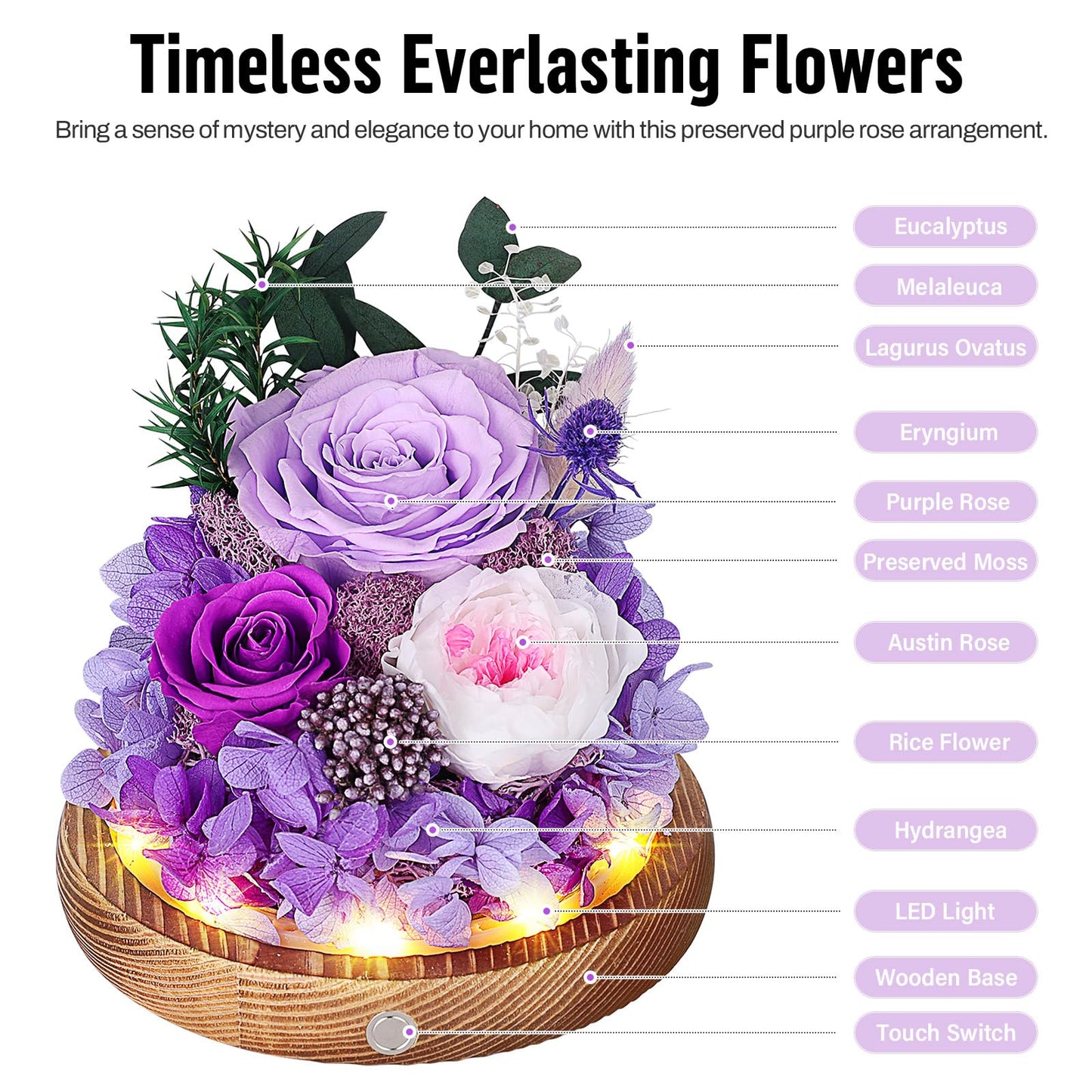 MAMAMIKO Preserved Roses in Glass Dome with LED Light - Long Lasting Real Roses, Forever Flowers for Delivery, Mothers Gifts for Her, Mom, Wife Anniversary Birthday Gifts for Women, Purple