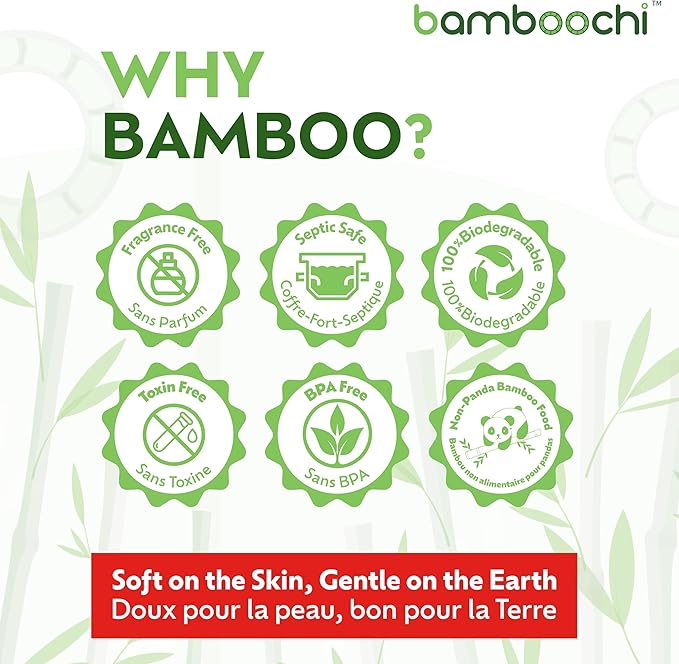 Bamboo Toilet Paper, Septic Safe Toilet Paper 2 Ply 12 Rolls 300 Sheets Per Roll, Soft Unscented Bath Tissue, RV Safe, Eco-Friendly, Non Chlorine, PFAS Free, Made in Canada