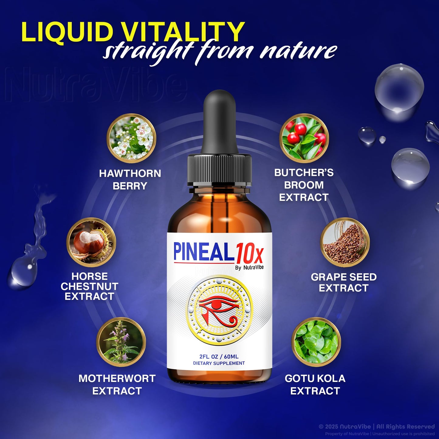 Pineal 10x Drops – Daily Support Formula with a Clean, Natural Blend to Maintain Restful Evenings, Balanced Rhythms & Relaxation | Easy-to-Use Pineal10x for Nighttime Wellness (30 Servings)
