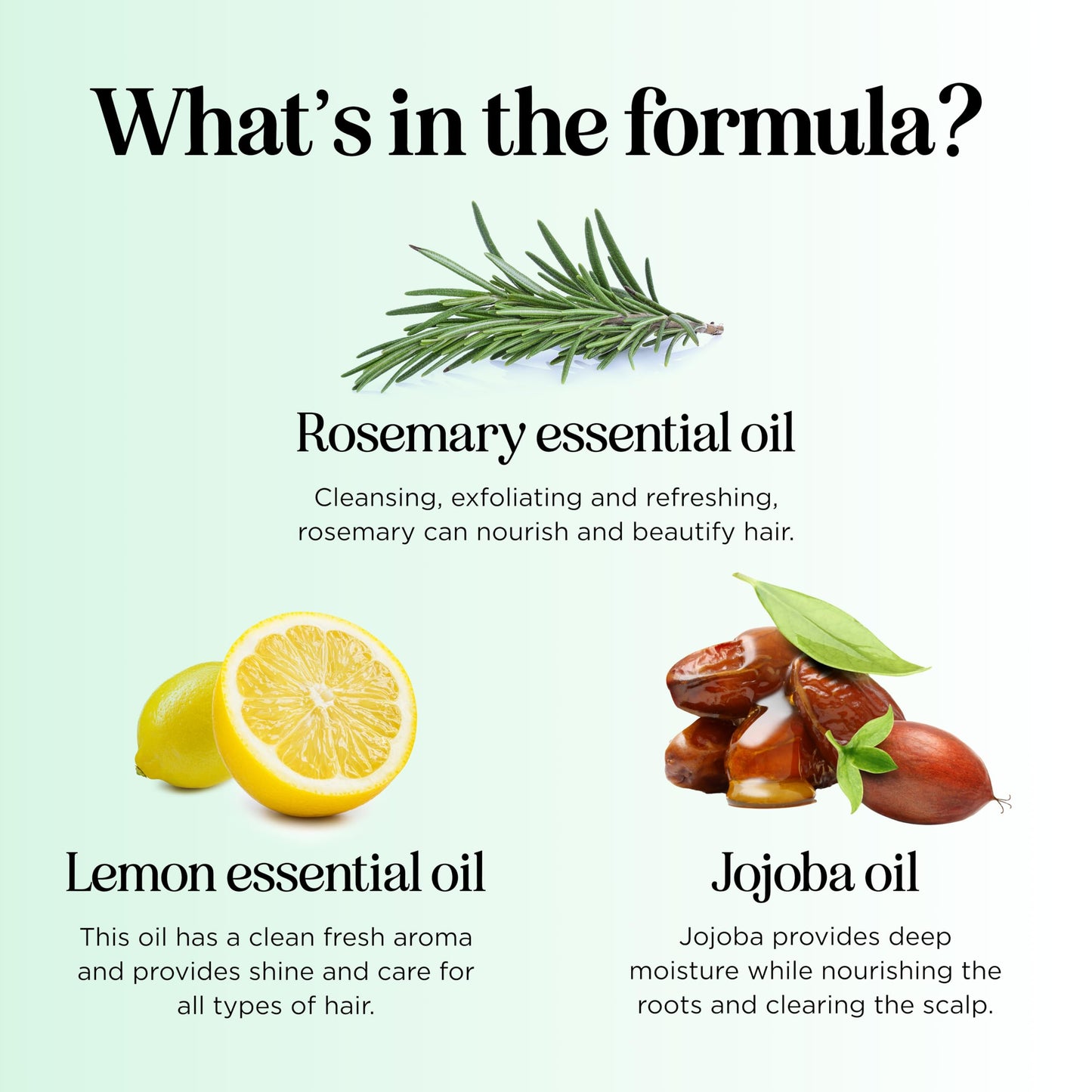Clarifying Shampoo for Oily Hair and Scalp - Deep Cleansing Shampoo Build Up Remover with Rosemary Oil - Degrease Shampoo for Gr