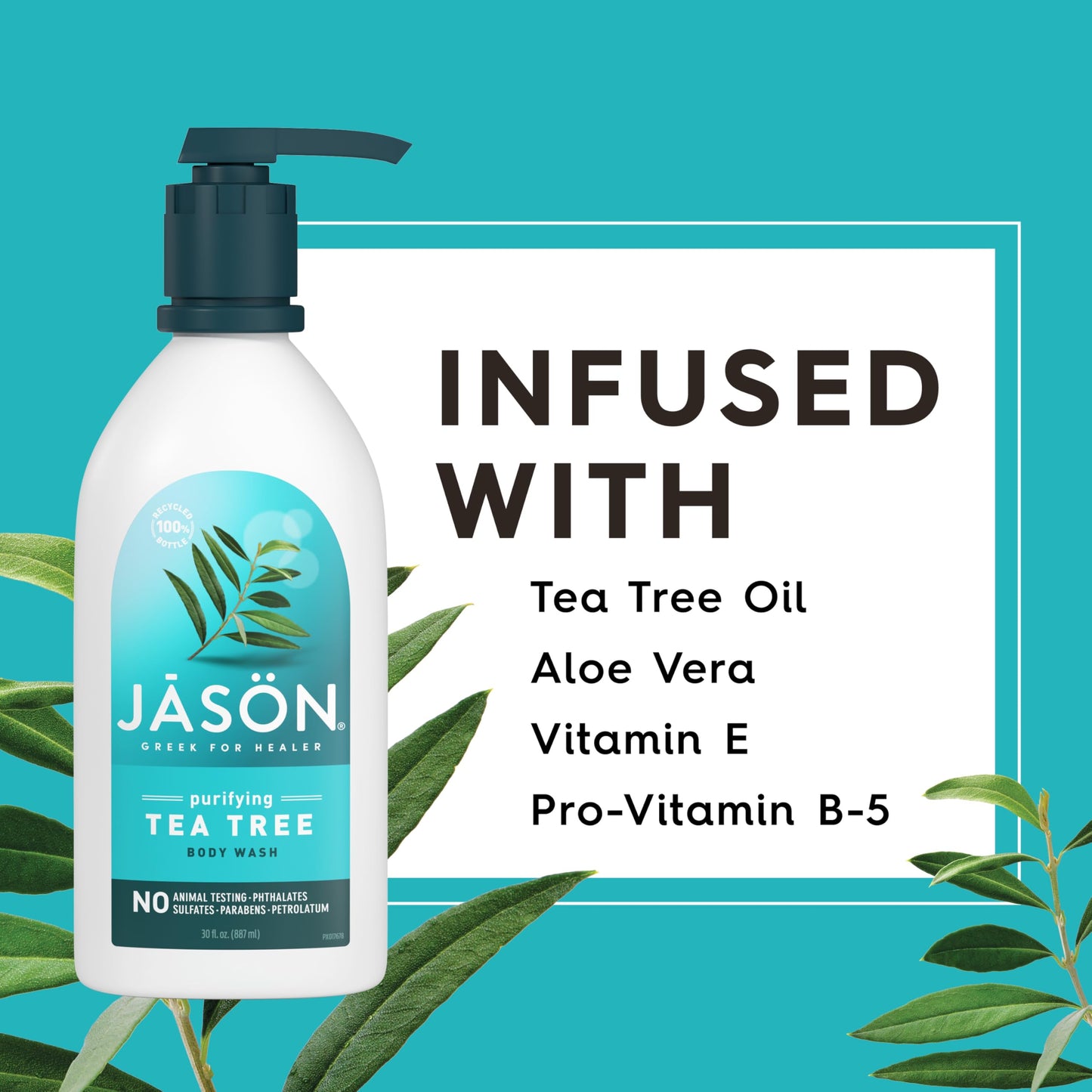 Jason Body Wash Tea Tree,1.87 Pound (Pack of 2)