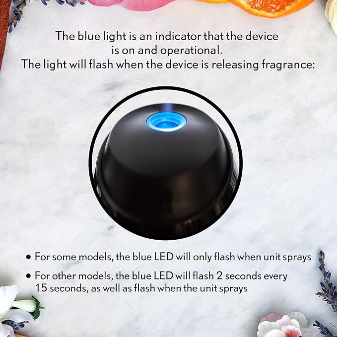 Air Wick Essential Mist, Essential Oil Diffuser Refill, Lemon Thyme, 1ct, Air Freshener