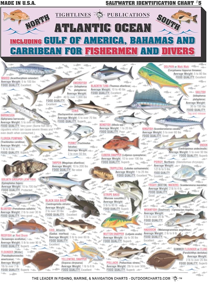 Saltwater Fish Identification Chart #5 - Waterproof Quick Reference Fishing Guide - 50+ Fish Species ID - (Florida, Atlant...
