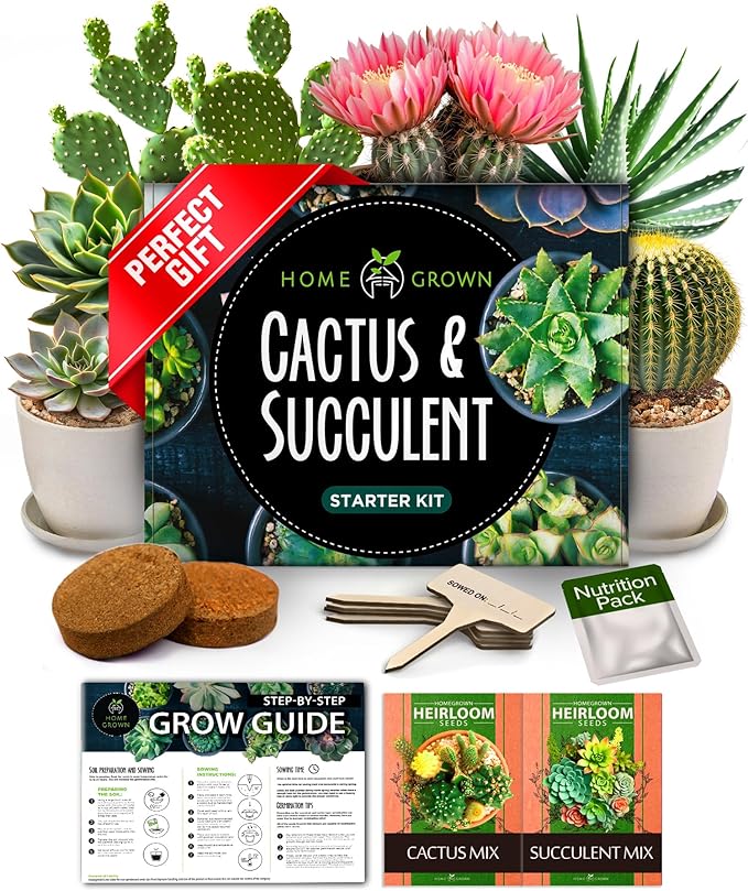 HOME GROWN Succulent & Cactus Seed Kit for Planting – [Enthusiasts Favorites] Premium Cactus & Succulent Starter Kit: 4 Pl...