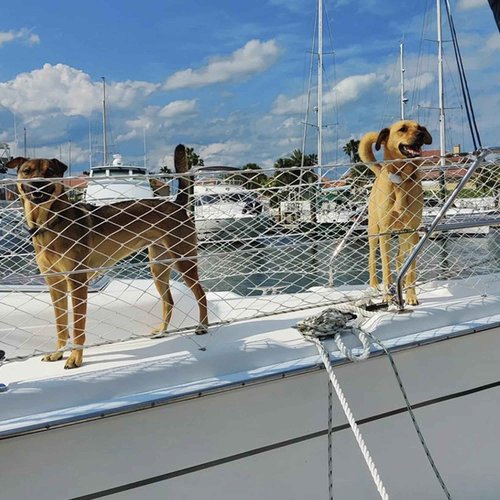 Boat Safety Lifeline Netting,Safety Guardrail Netting,Safe Banister Railing Netting,Nylon Net.Keeping Kids, Crew, Pets and Equipment Safely on Deck.Keeping Everyone Secure. (Length-46 Feet)