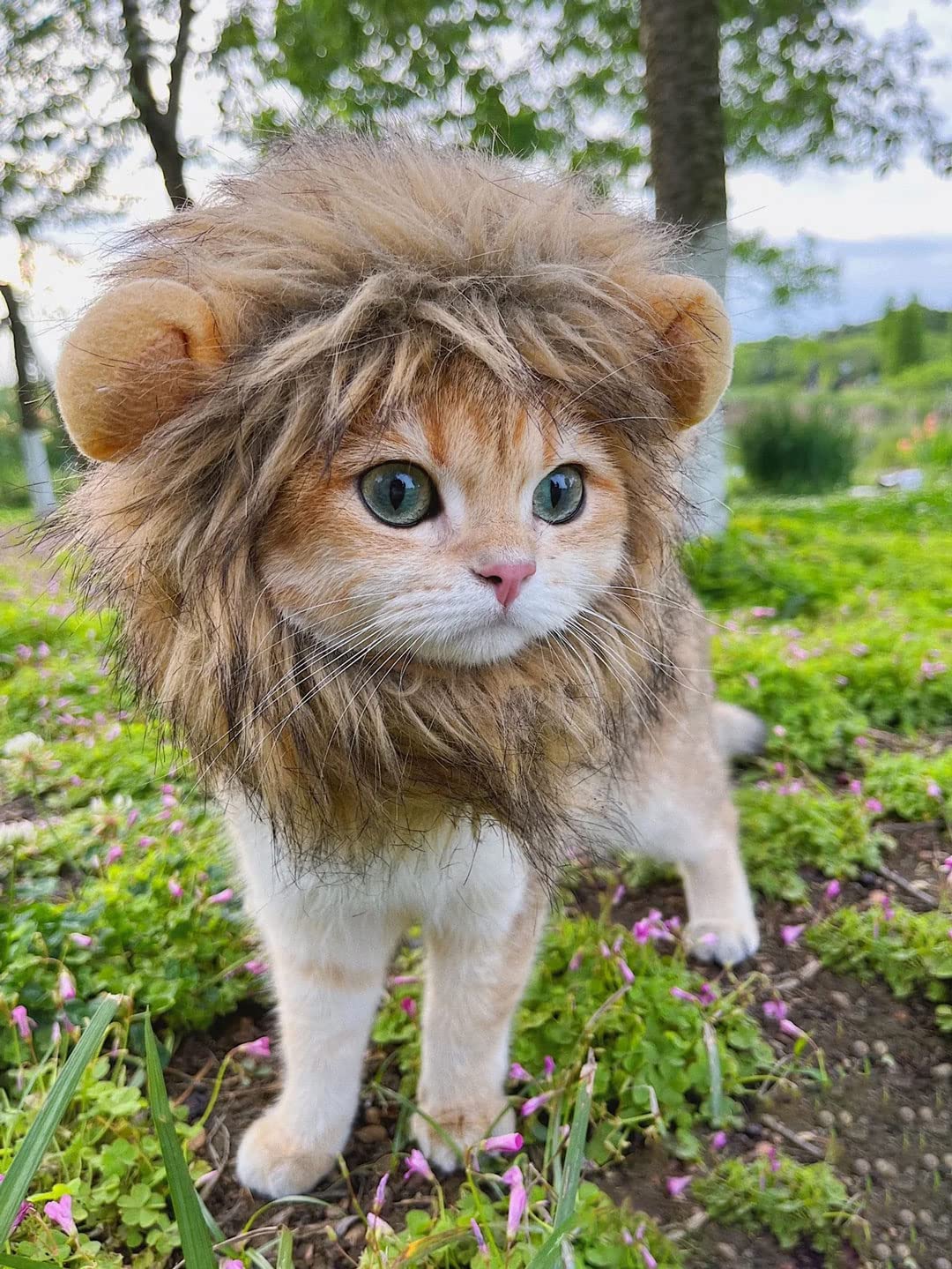 PenVinoo Lion Mane Wig for Cat,Dog and Cat Costume,Funny Pet Cat Costumes for Halloween Christmas, Parties, Photo Shoots (Size M, Melange Brown)