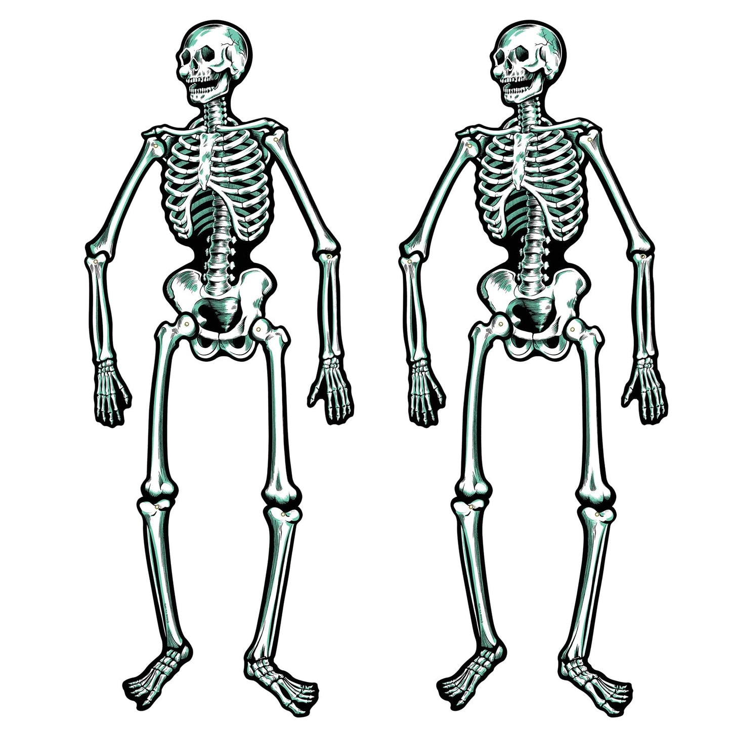 Jointed Skeletons - 22"