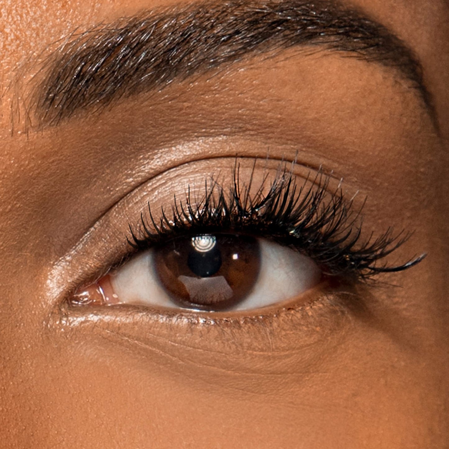 wet n wild Max Volume Plus Waterproof Mascara - Amp'd Black