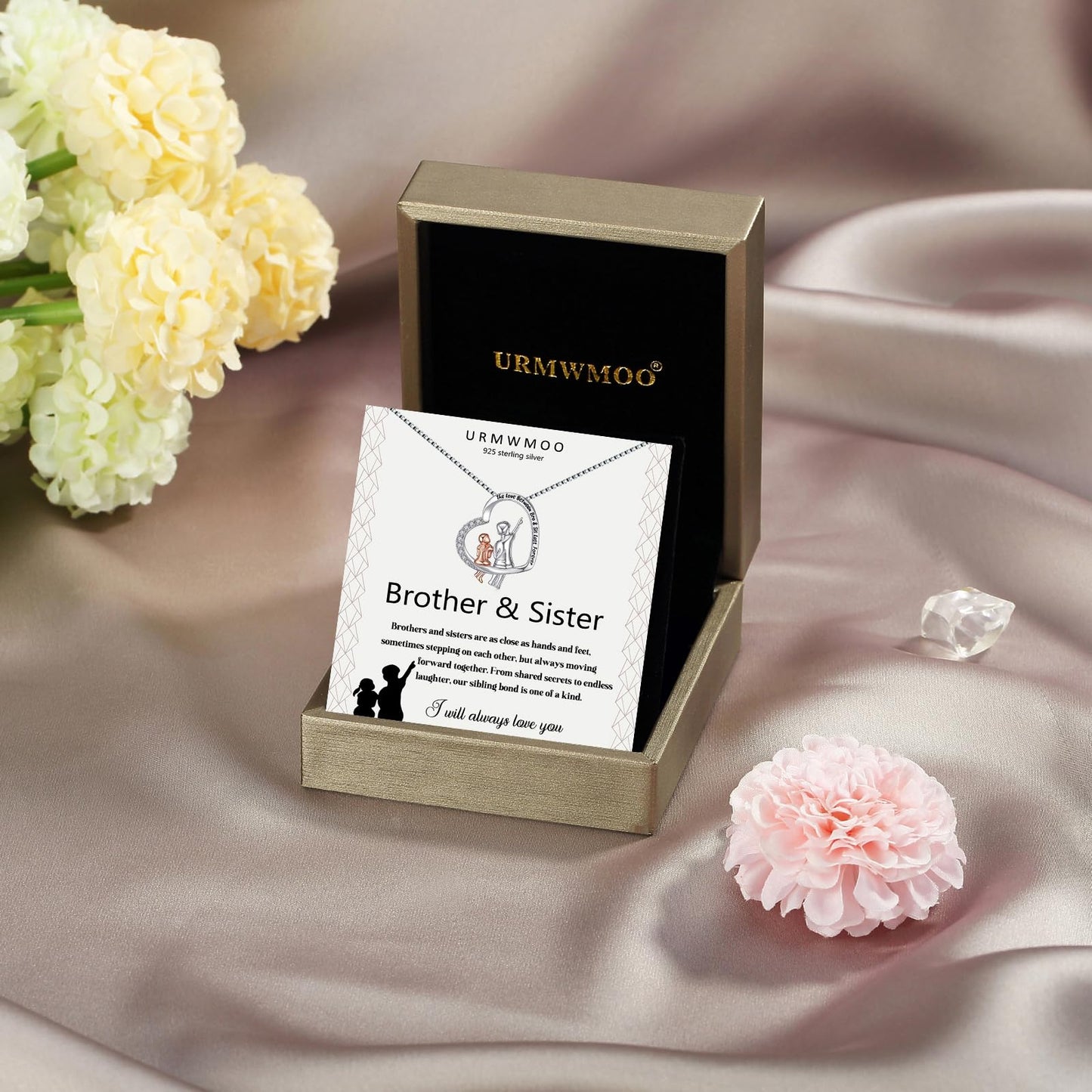 URMWMOO Gifts for Sister from Brother 925 Sterling Silver Brother and Sister Heart Pendant Necklace Jewelry Birthday Christmas Graduation Gifts for Women