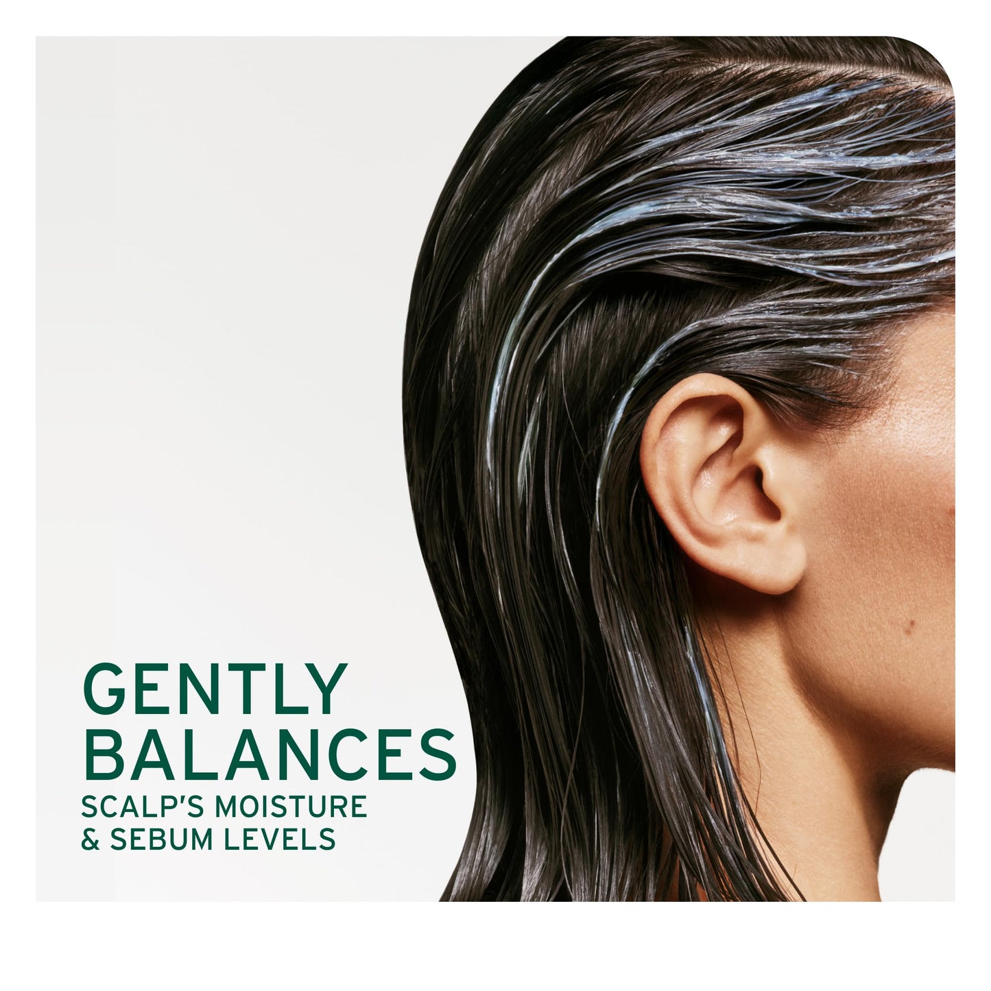 BIOLAGE Scalp Sync Universal Conditioner - Nourishing & Hydrating for All Scalp Types, Lightweight Conditioning, Fermented Tea B