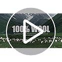 Molithe 100% Wool Blanket, 48" x 62", Warm, Thick, Washable, Military Wool Blanket, Great for Camping, Outdoors, Sporting ...