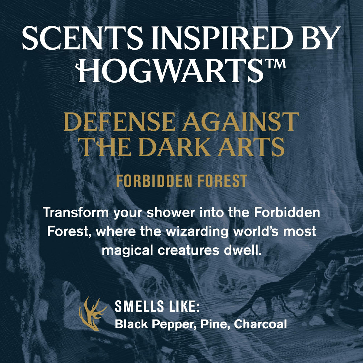 Every Man Jack Harry Potter Collectors Body Wash - Hogwarts Inspired Scents & Clean Ingredients - Defense Against the Dark Arts