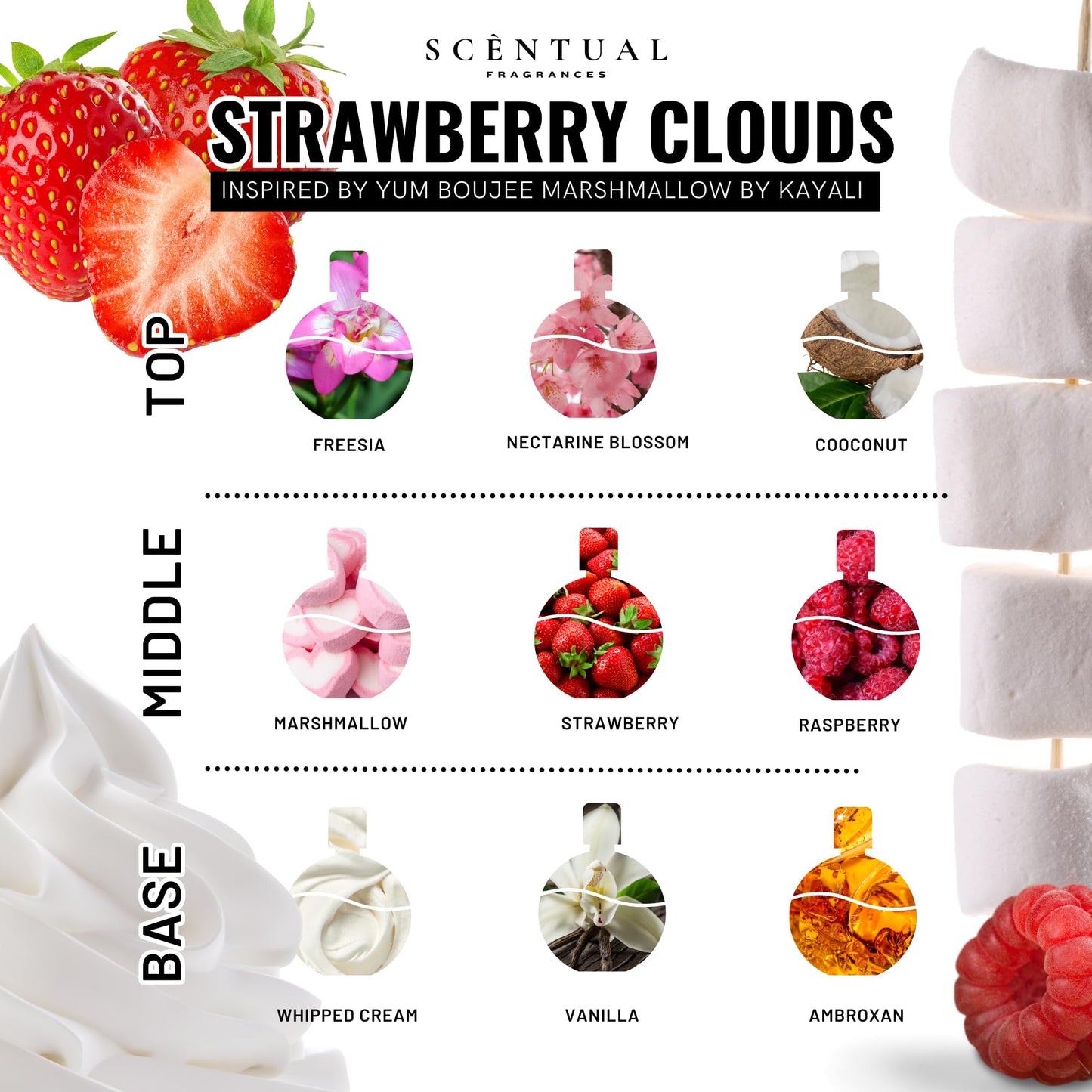 Scentual Fragrances, Luxury Perfume Oil, Ultra-Concentrated Women Roll-On Fragrance Oil, Long Lasting Rollerball Travel Mini Perfume, Vegan, Alcohol & Cruelty Free 10ml (Strawberry Clouds)