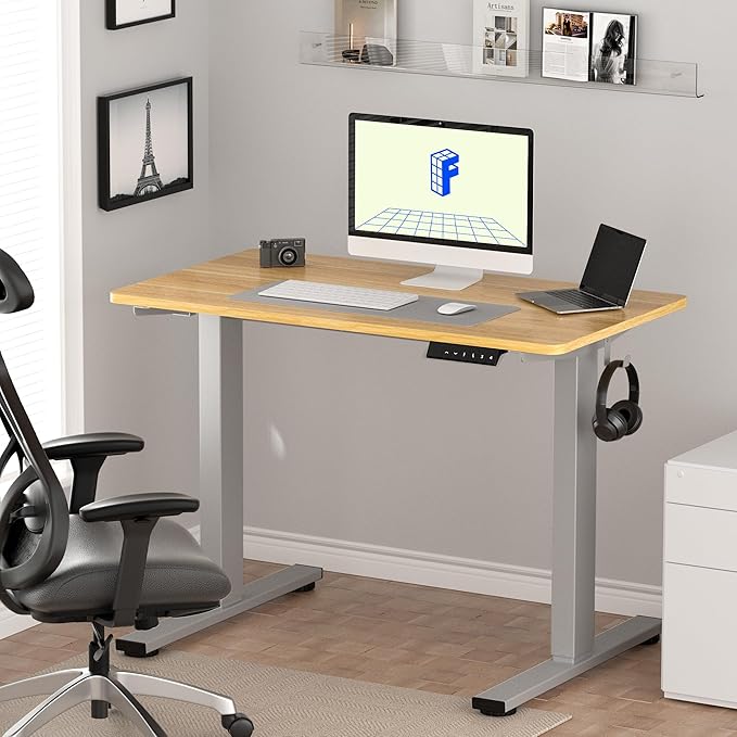 FLEXISPOT EN1 One-Piece Height Adjustable Desk 48 x 30 inch Electric Standing Desk for Home Office (Silver Frame + 48" Natural Top, 2 Packages)