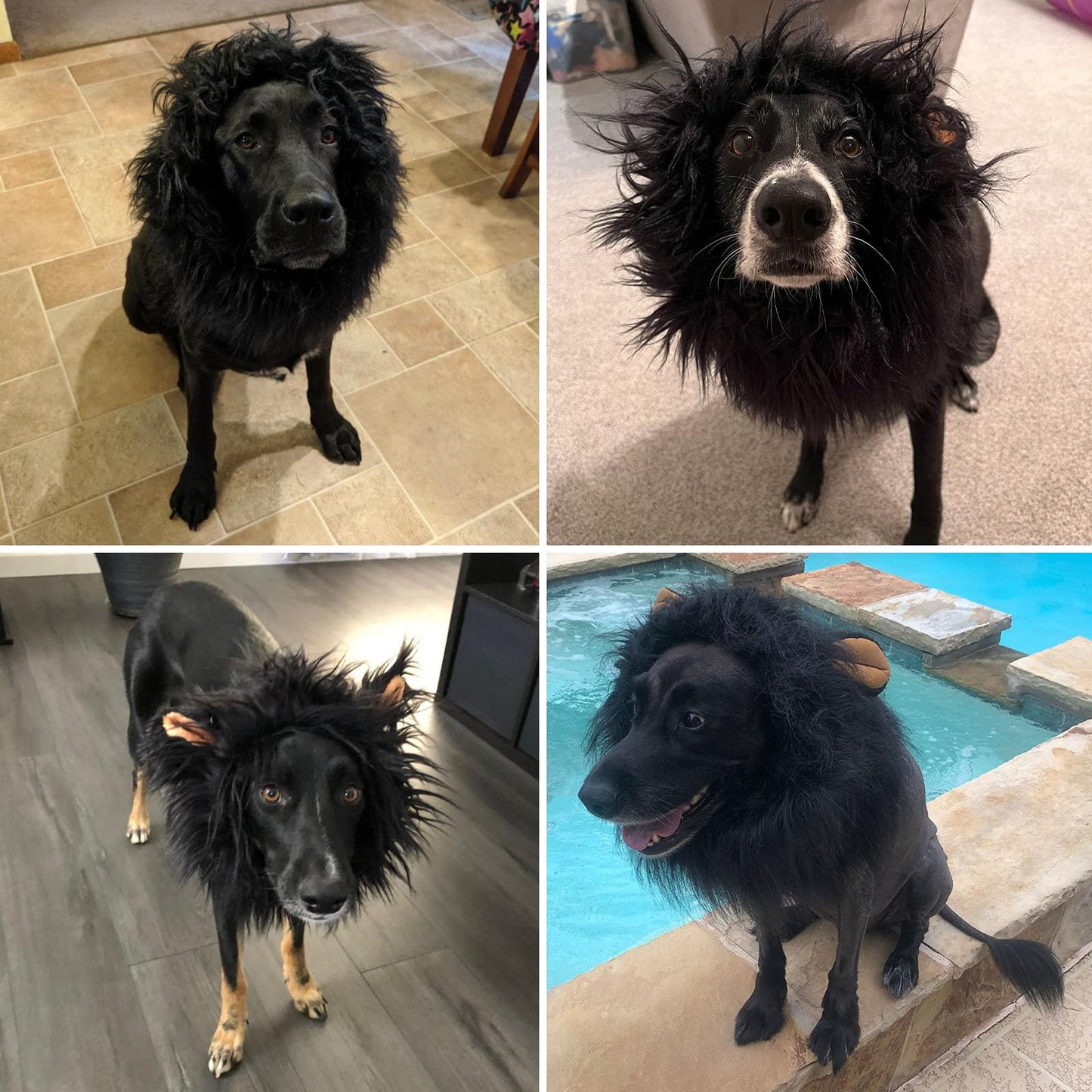 Realistic & Funny Lion Mane for Dogs, Dog Costume Complementary Lion Mane for Dog Halloween Costumes for Medium to Large Sized Dogs, Funny Dog Cosplay Vivifying Lion Mane Wig Accessory (Black)