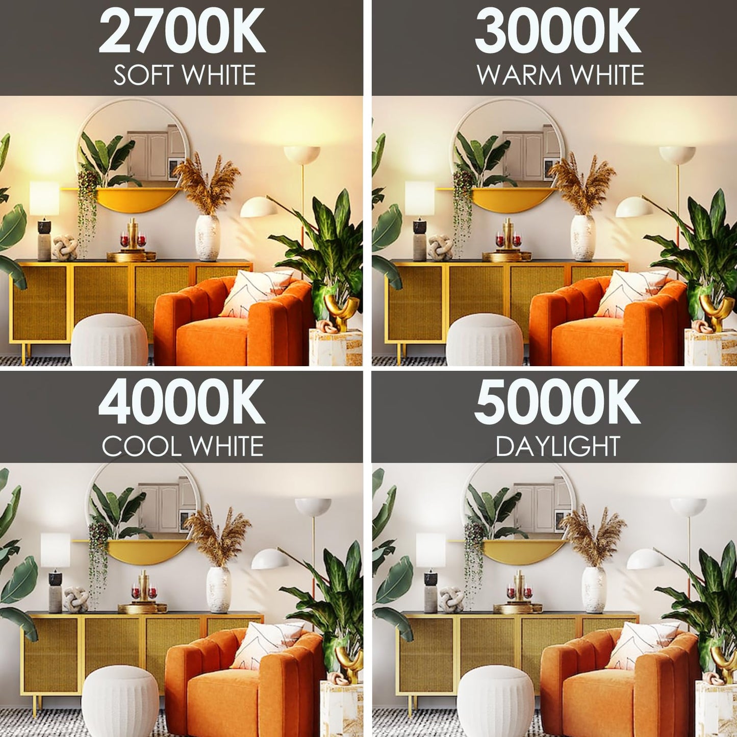 E ENERGETIC LIGHTING Dimmable Light Bulbs, 60W Equivalent 3000K Warm White, E26 Base, 8W 800 Lumens LED Light Bulbs, ETL Listed, 12 Packs