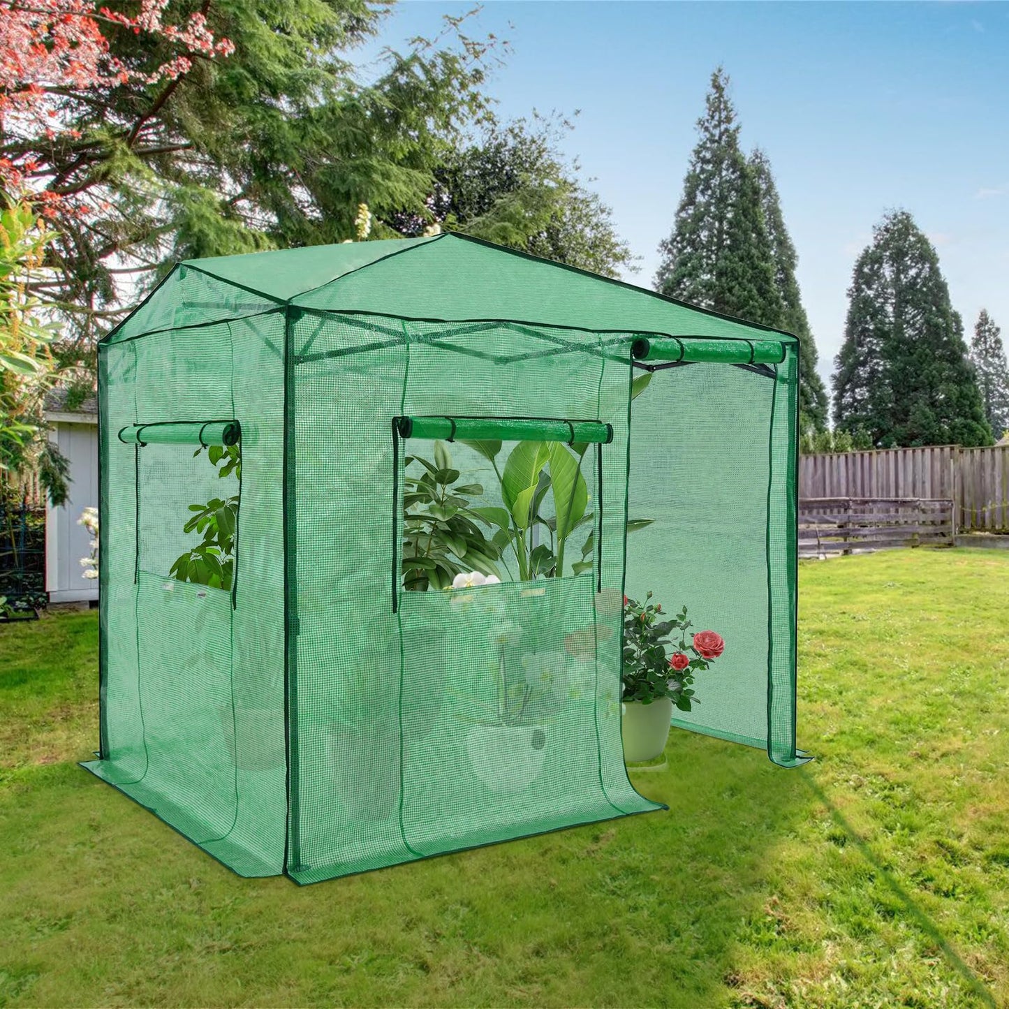 EAGLE PEAK 6x8 Portable Walk in Greenhouse, Pop Up Indoor Outdoor Greenhouse, Green House Kit with Zippered Roll-Up Doors and Windows, Side Door Design, PE Cover, Clear/Green