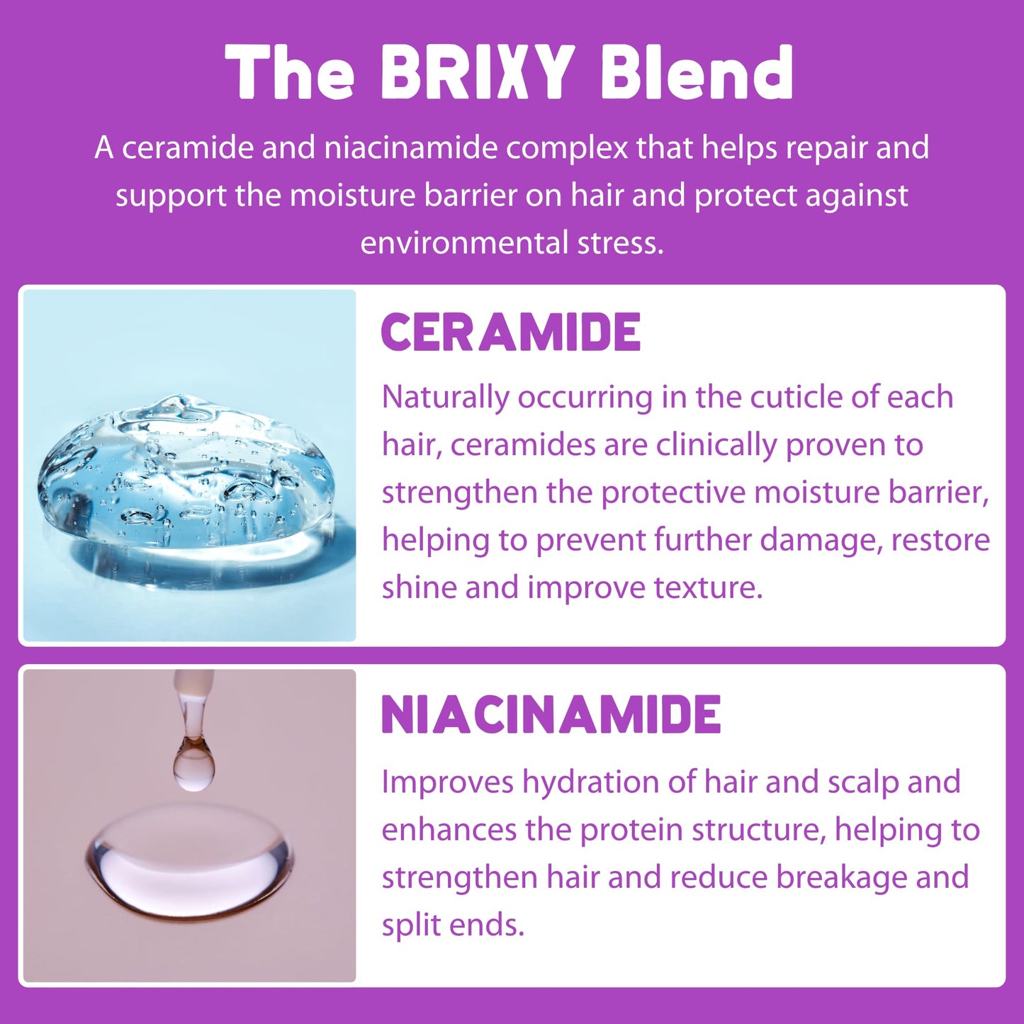 BRIXY Balance Shampoo Bar For Oily Hair | Algae Oil, Castor Oil, & Provitamin B5 | Ceramide & Niacinamide Support The Moisture B
