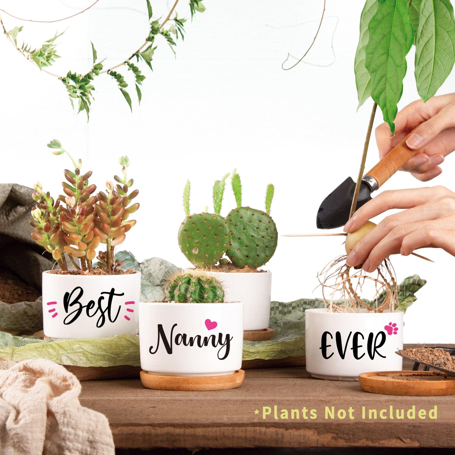 AceThrills Nanny Gifts for Birthday, for Nanny from Grandkids, Unique Present on Thanksgiving Christmas - 3 Pcs 3.15" Succulent Pots with Bamboo Tray