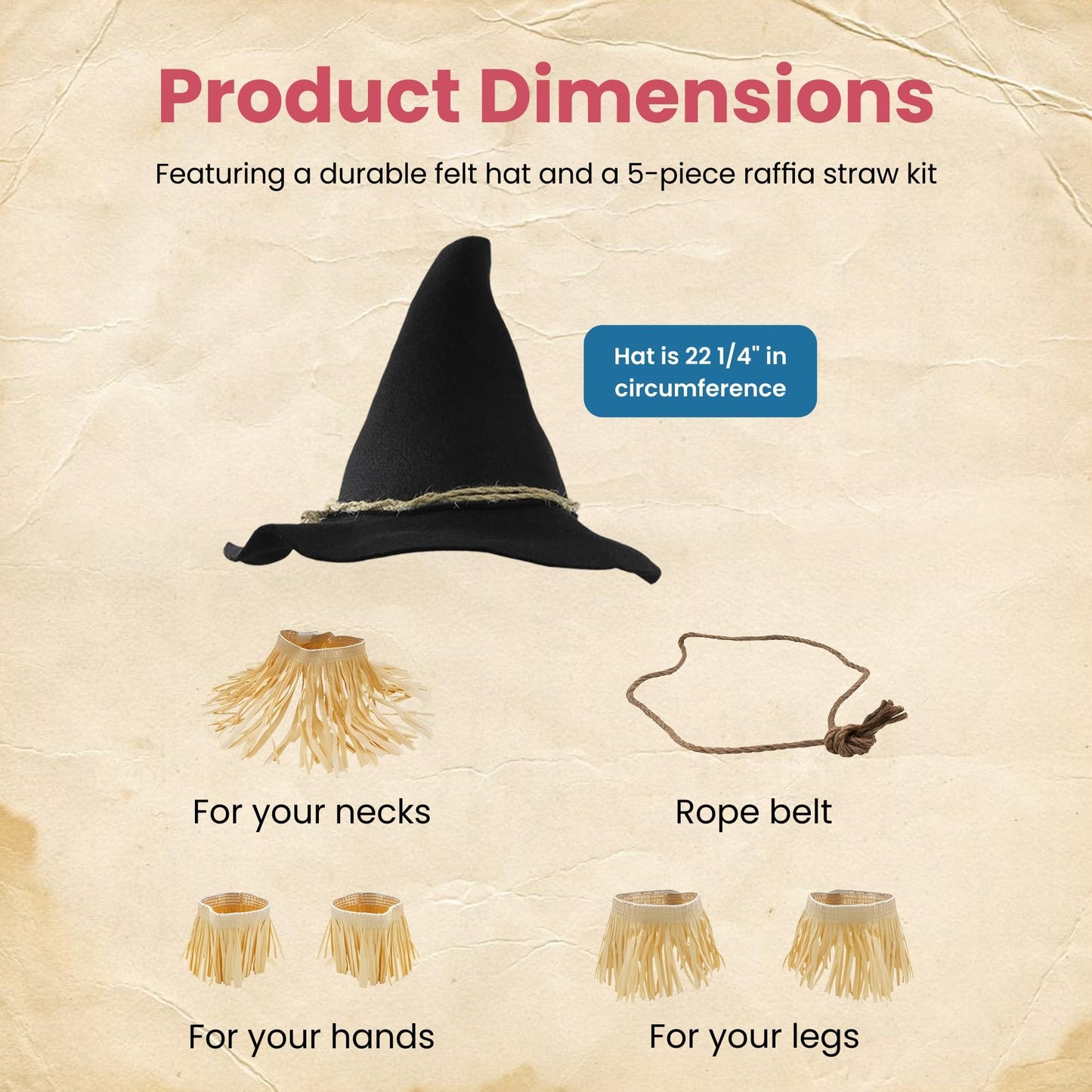 Nicky Bigs Novelties Adult Deluxe Felt Scarecrow Hat Rope Belt Straw Kit 11 Piece Accessory Set Oktoberfest Witch Hillbilly Costume, Black, One Size