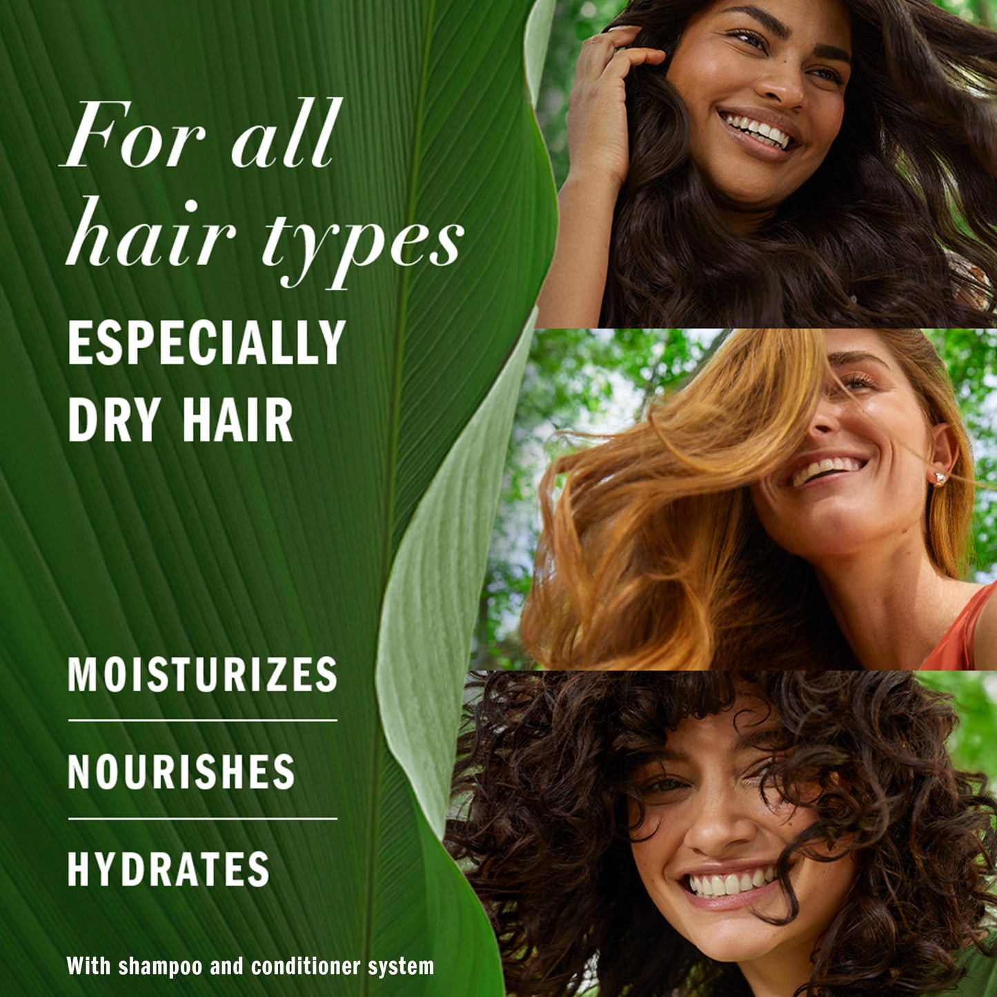 Herbal Essences Shampoo for Color Treated Hair, Coconut Milk, Paraben Free, BioRenew 13.5 FL OZ (Pack of 2)
