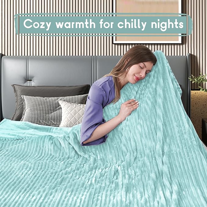 Heated Blanket Electric Blanket Queen Size 84''x90'' with 10 Heating Levels, 1-12 Hour Auto Shut Off, Machine Washable, Dual Controller Soft Warming Blanket for Couch, Bed, Office - Pale Green