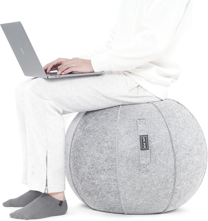 ANC POP Yoga Ball Exercise Ball, Anti Slip Stability Ball Chair, 25” Heavy Duty Large Gym Ball for Fitness, Balance and Core Workout with Cover, Easy Clean