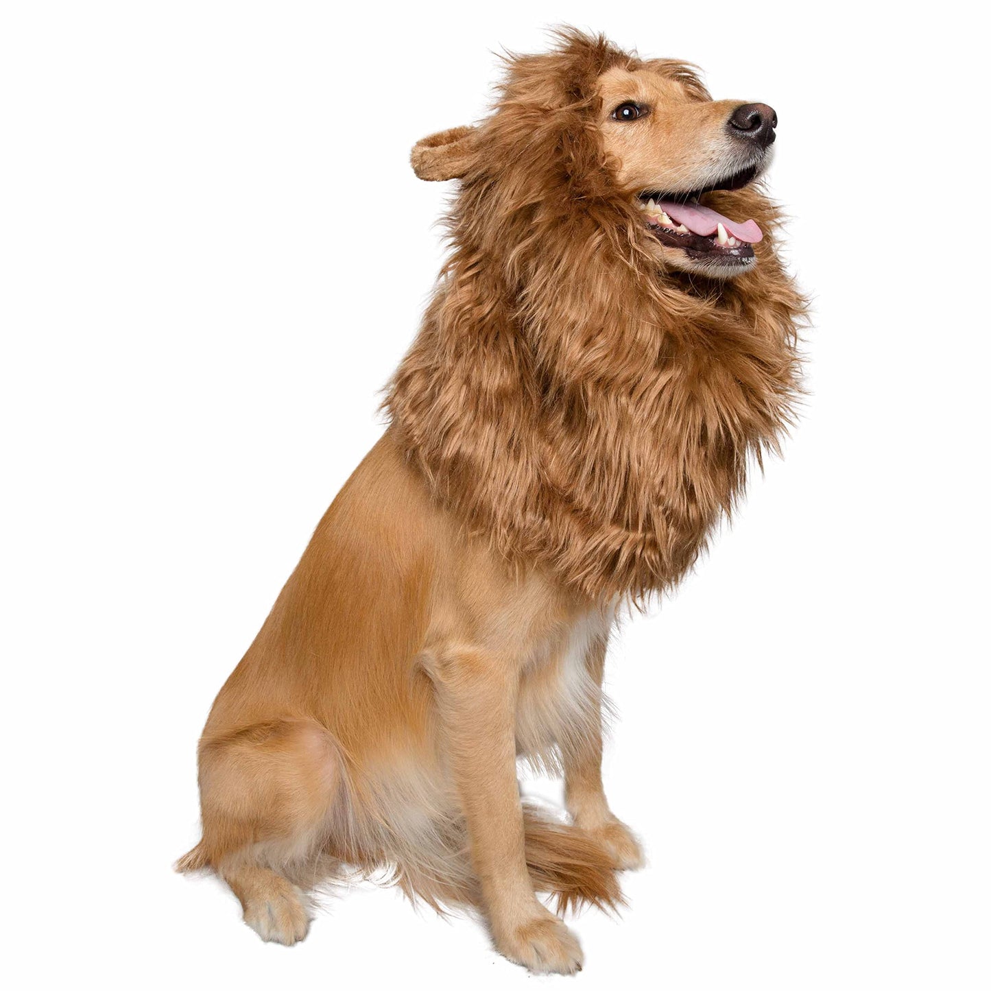 Pet Krewe Lion Mane for Dog -Lion Mane Dog Costume by Pet Krewe