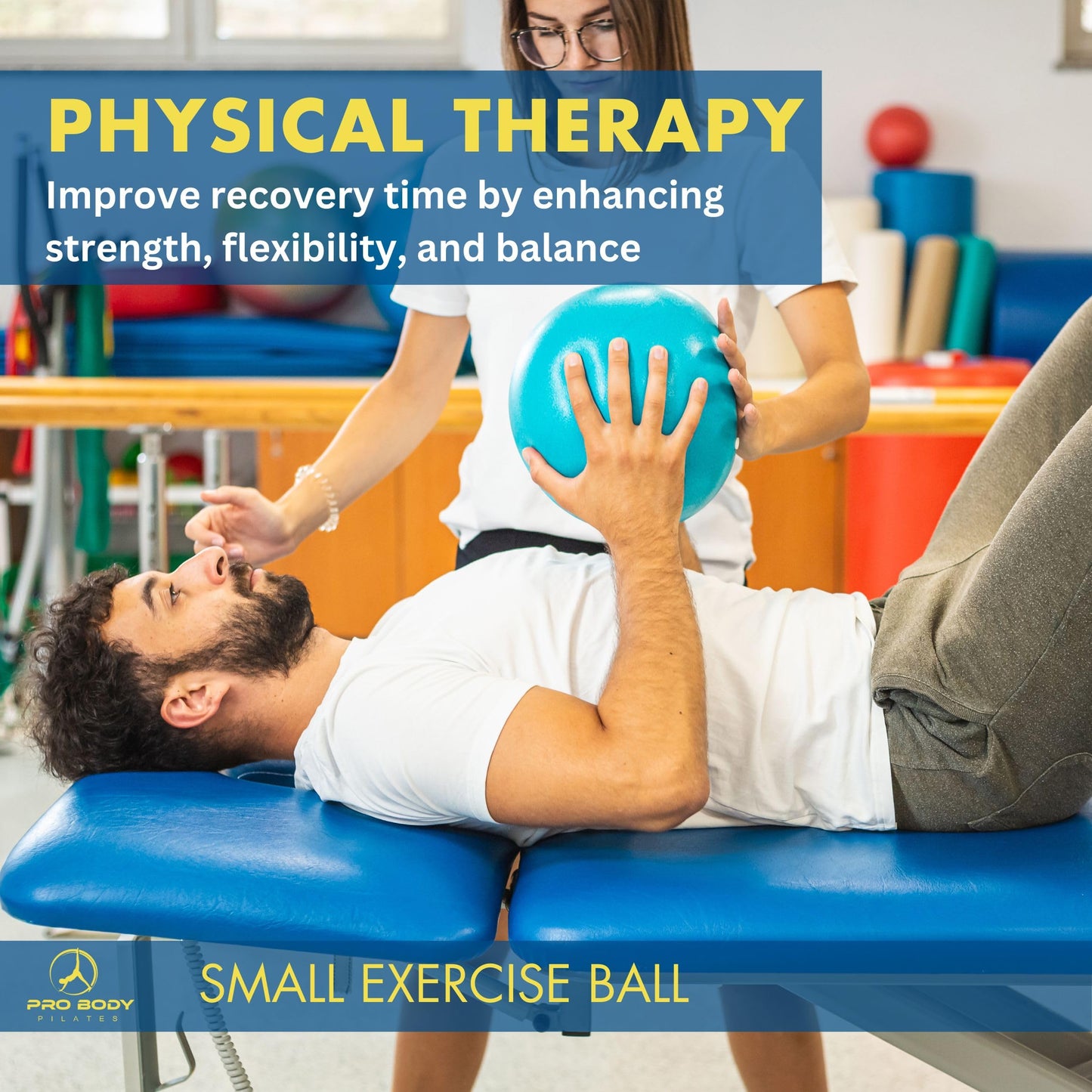 ProBody Pilates Small Exercise Ball - 9 Inch Workout Ball for Stability, Barre, Yoga, Core & Physical Therapy, Home Gym & Office Use (Silver)