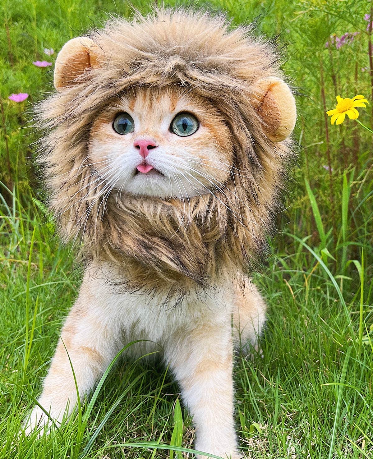PenVinoo Lion Mane Wig for Cat,Dog and Cat Costume,Funny Pet Cat Costumes for Halloween Christmas, Parties, Photo Shoots (Size M, Melange Brown)