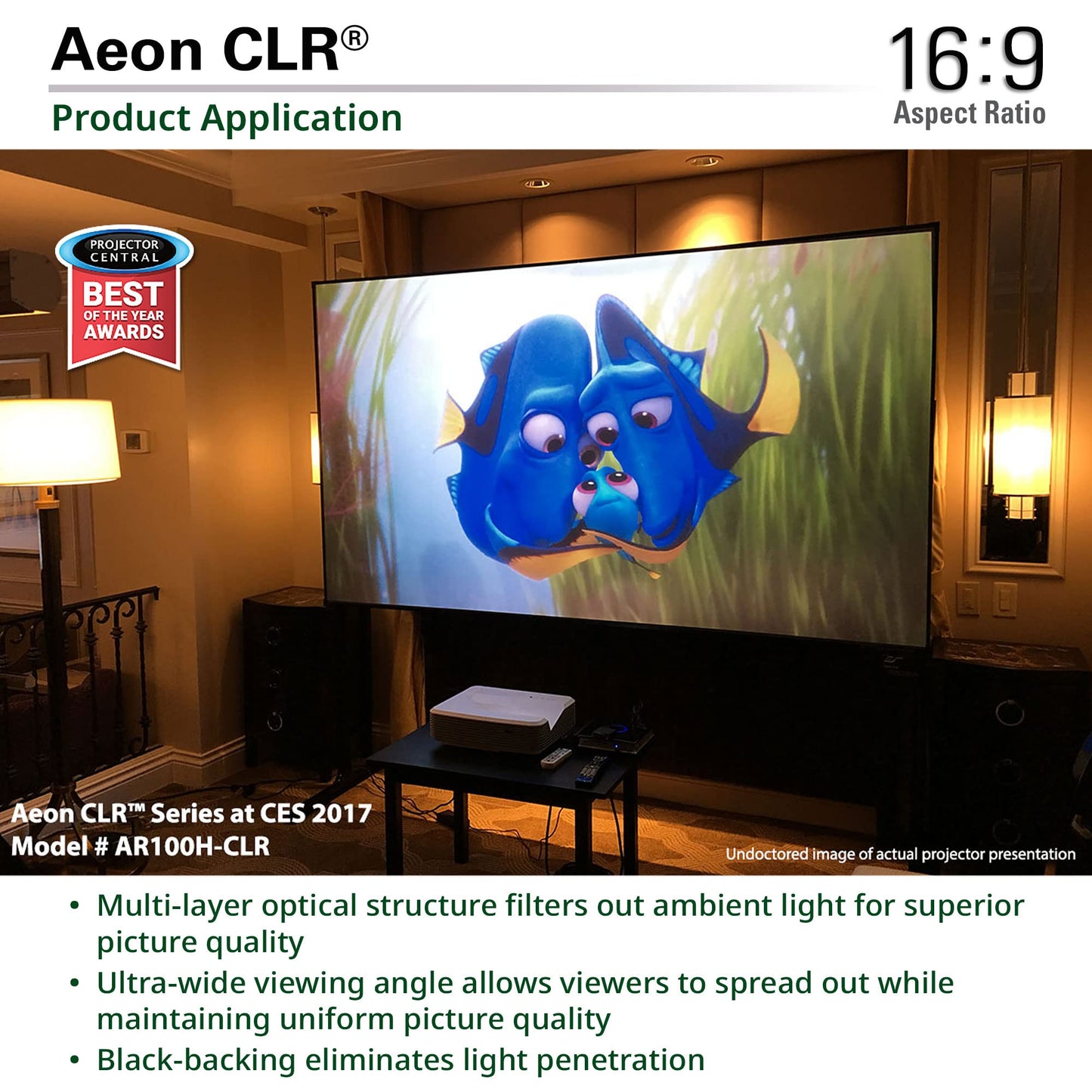Elite Screens Aeon CLR 123-Inch ALR UST Projector Screen, 8K Edge-Free Fixed Frame, 95% Ambient Light Rejecting, Indoor Home Theater Movie Screen, Perfect for Ultra Short Throw Projectors, AR123H-CLR