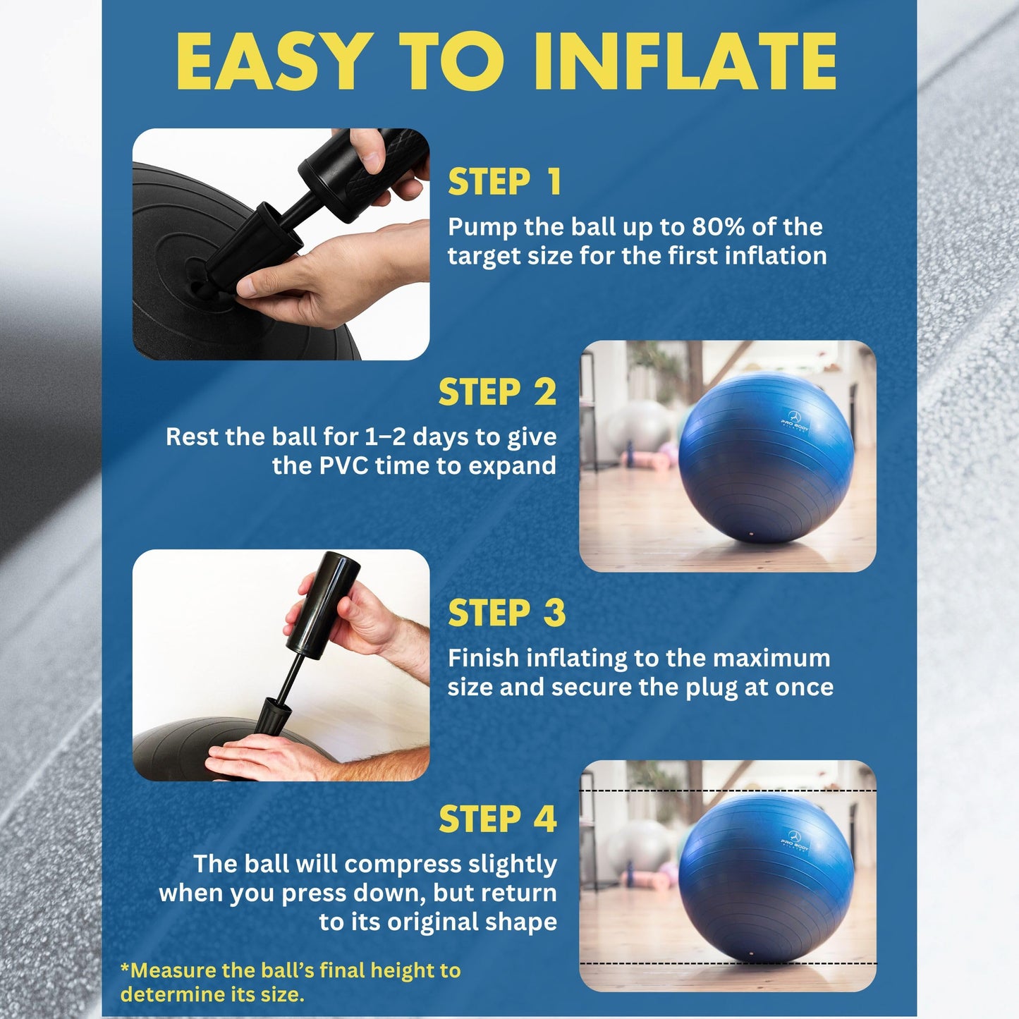 ProBody Pilates Exercise Ball - Multiple Sizes Gym Grade Balance Ball for Fitness, Workout, Pregnancy & Physical Therapy, Stability Yoga Ball Chair (Silver, 45 cm)
