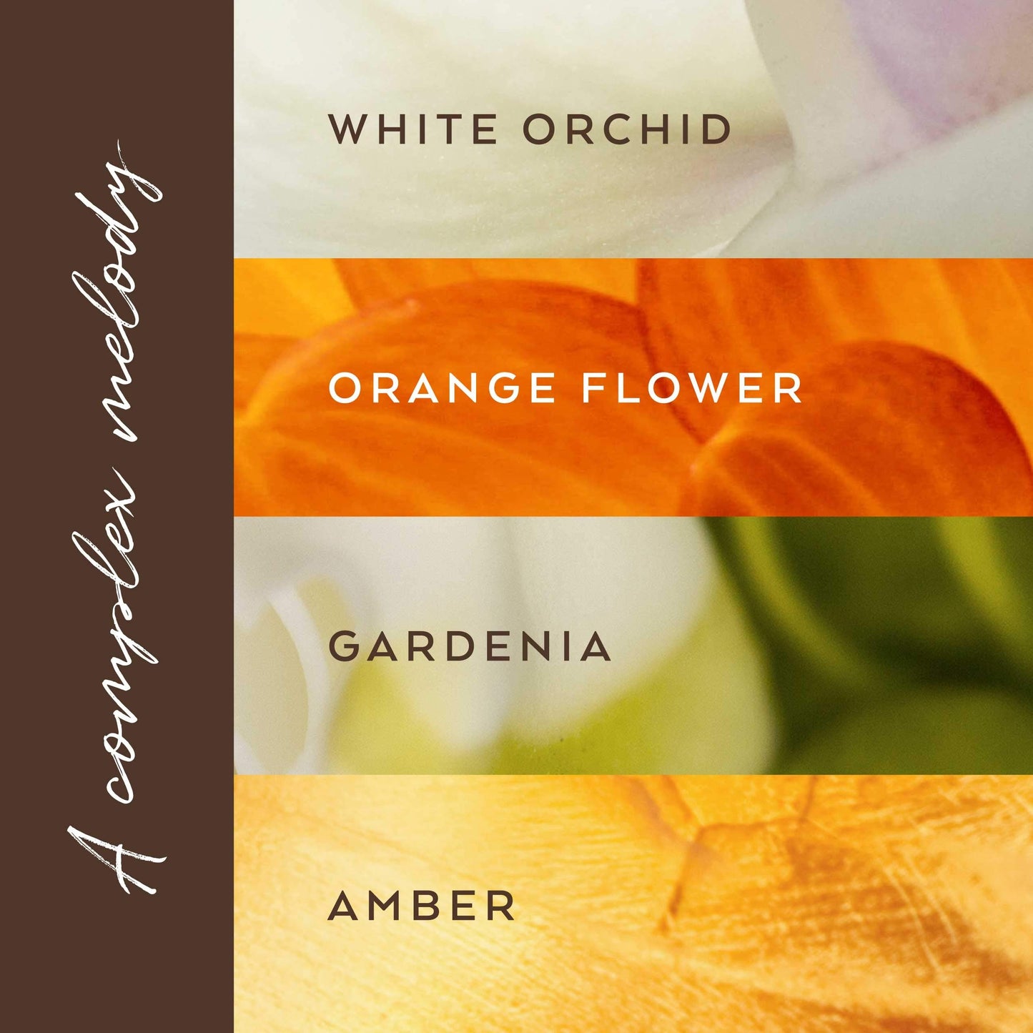 TOKYOMILK Song in D Minor Eau de Parfum, 1 fl. oz, 29.5 ml - White Orchid, Orange Flower, Gardenia & Amber - A Complex Melody, W