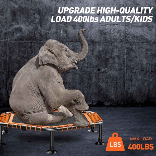 CLORIS 48in Folding Trampoline - Max Load 450lbs Mini Rebounder Fitness Trampoline with Adjustable Foam Handle, with safty Padded Cover Best Gift (48'' Orange)