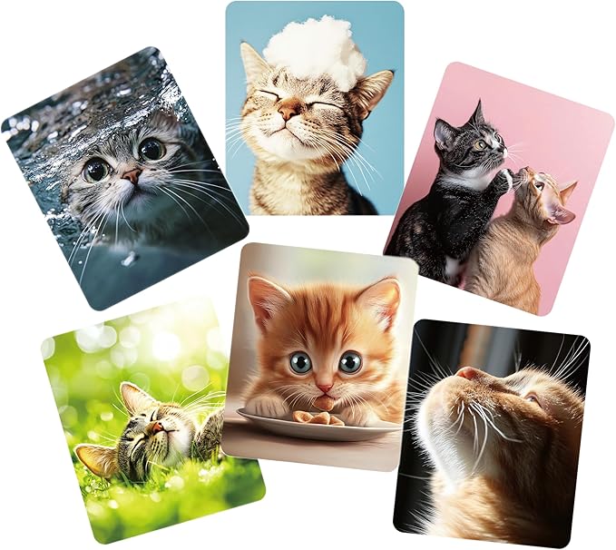 Microfiber Glasses Cleaner Cloth,Cute Cat Cleaning Clothes for Eyeglass,Phone, Screens, Camera Lens -6pcs